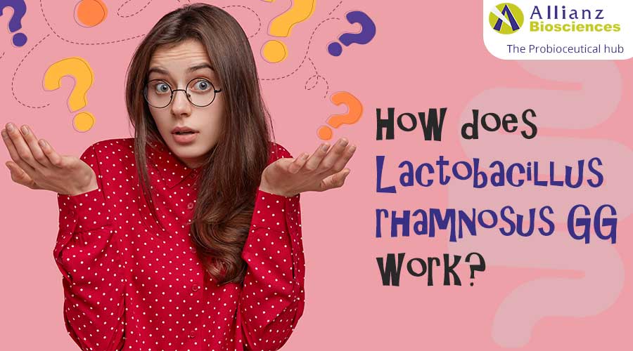 How-does-Lactobacillus-rhamnosus-GG-work-abpl